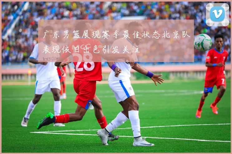 广东男篮展现赛季最佳状态北京队表现依旧出色引发关注