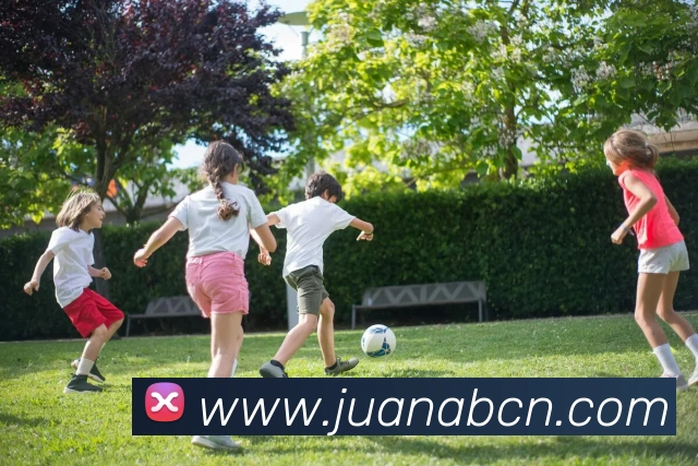 多终端兼容